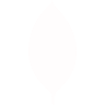 MongoDB MongoDB